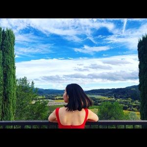 Meet your Posher, Huiyan